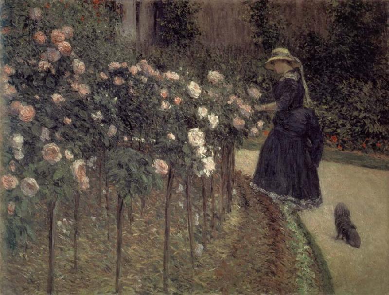Gustave Caillebotte Roses-The Garden in Petit-Gennevilliers France oil painting art
